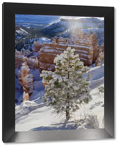 USA, Southwest, Colorado Plateau, Utah, Bryce Canyon, National Park in winter