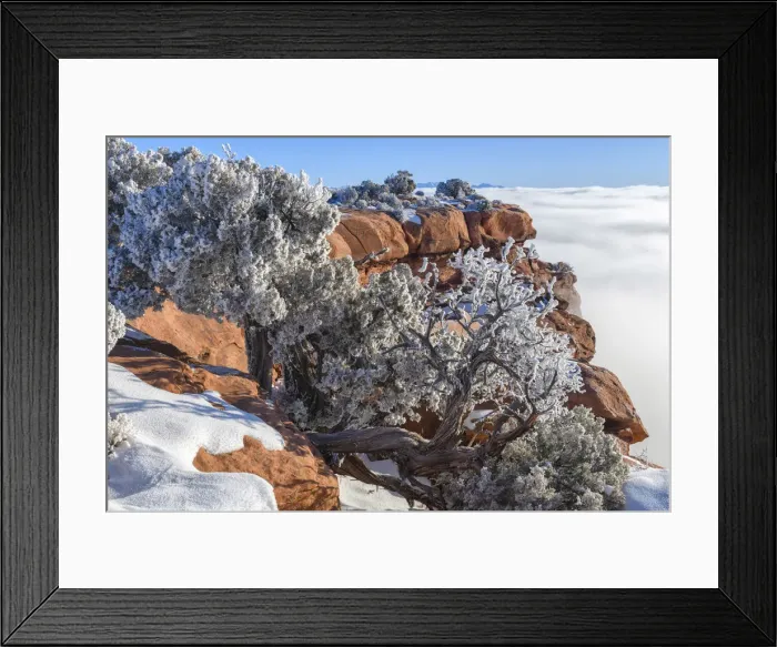 Framed Print : USA, Southwest, Utah, Moab, Canyonlands National Park, Island in the Sky Framed Print : USA, Southwest, Utah, Moab, Canyonlands National Park, Island in the Sky