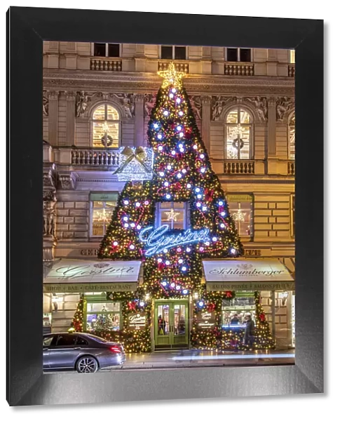 Buildings facace decorated with Christmas tree, Vienna, Austria