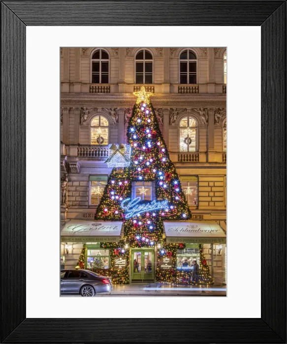 Framed Print : Buildings facace decorated with Christmas tree, Vienna, Austria Framed Print : Buildings facace decorated with Christmas tree, Vienna, Austria