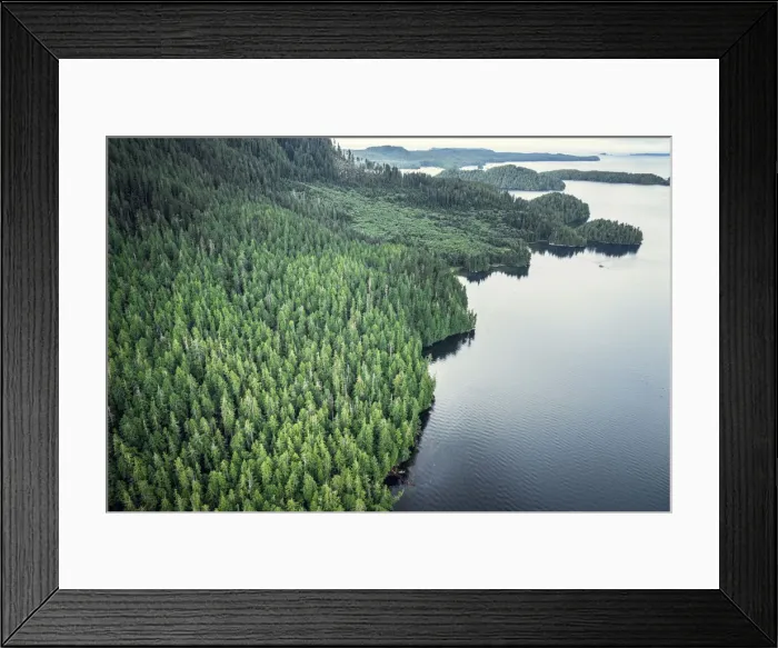 Framed Print : Tofino, harbour and clayoquot sound landscape. Vancouver Island, British Columbia, Canada Framed Print : Tofino, harbour and clayoquot sound landscape. Vancouver Island, British Columbia, Canada