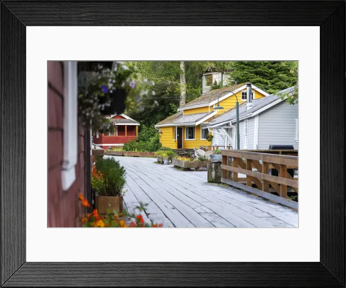 Framed Print : Telegraph Cove village and colorful houses, Vancouver Island. British Columbia, Canada Framed Print : Telegraph Cove village and colorful houses, Vancouver Island. British Columbia, Canada