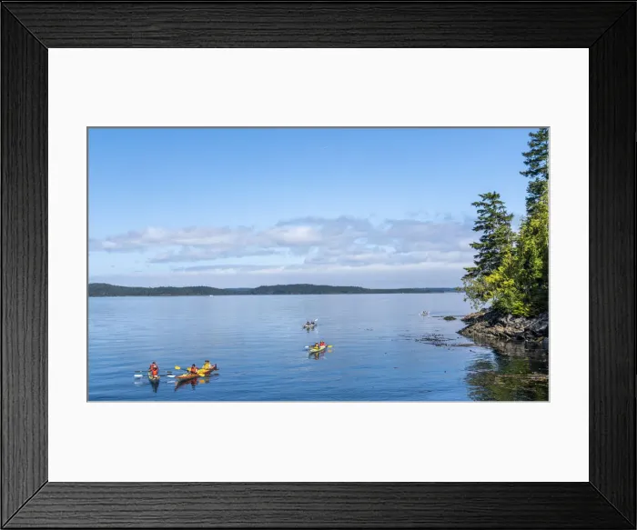 Framed Print : Ocean canoeing in Telegraph Cove, British Columbia, Vancouver Island, Canada Framed Print : Ocean canoeing in Telegraph Cove, British Columbia, Vancouver Island, Canada