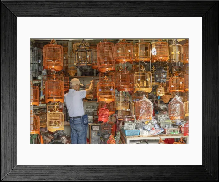 Framed Print : Bird Market, Mong Kok, Kowloon, Hong Kong Framed Print : Bird Market, Mong Kok, Kowloon, Hong Kong