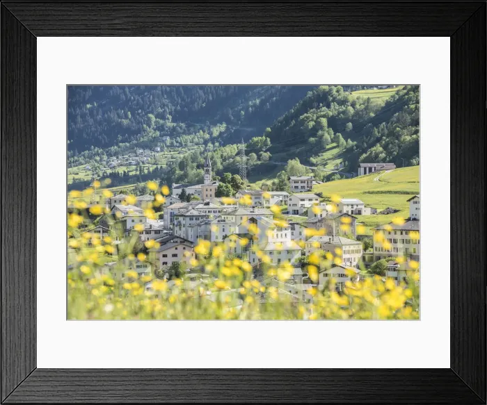 Framed Print : The little village of San Carlo in Poschiavo Valley during the spring