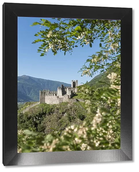 The Castle Visconti Venosta of Grosio, Province of Sondrio, Valtellina, Europe
