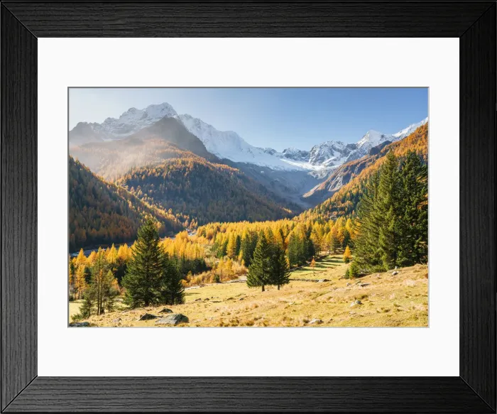 Framed Print : Autumn in Chiareggio with snowy Mount Disgrazia, Malenco Valley, Valtellina, Sondrio Framed Print : Autumn in Chiareggio with snowy Mount Disgrazia, Malenco Valley, Valtellina, Sondrio