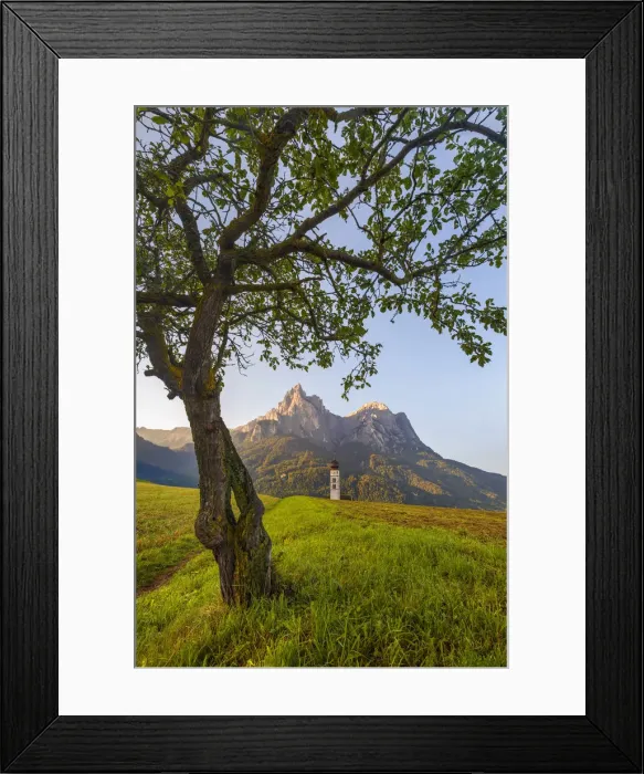 Framed Print : Solitary tree frame the Sciliar Dolomites, San Valentino church, Siusi Allo Sciliar Framed Print : Solitary tree frame the Sciliar Dolomites, San Valentino church, Siusi Allo Sciliar