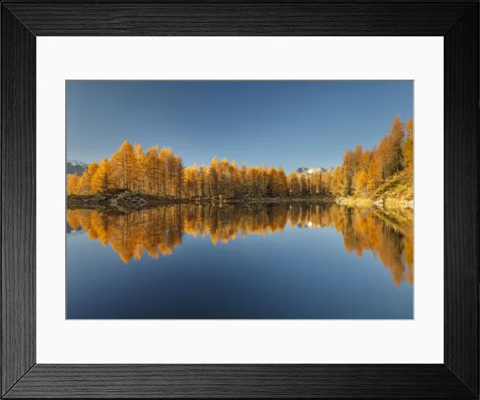 Framed Print : Autumn reflections on Azzurro lake, Motta, Campodolcino, Sondrio province, Lombardy Framed Print : Autumn reflections on Azzurro lake, Motta, Campodolcino, Sondrio province, Lombardy