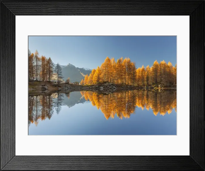 Framed Print : Ferra piz and autumn larches reflected on Azzurro lake, Motta, Campodolcino Framed Print : Ferra piz and autumn larches reflected on Azzurro lake, Motta, Campodolcino