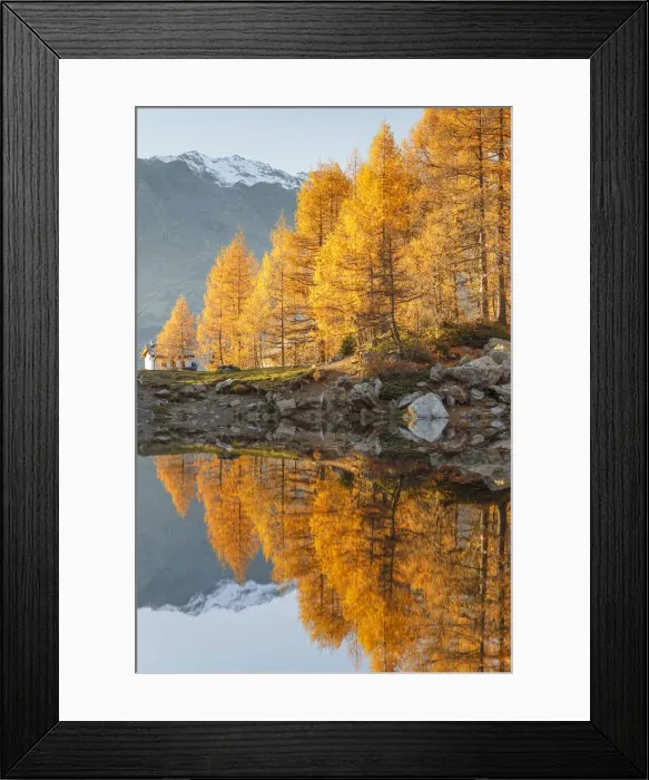 Framed Print : Cima de val Loga piz and autumn larches reflected on Azzurro lake, Motta, Campodolcino Framed Print : Cima de val Loga piz and autumn larches reflected on Azzurro lake, Motta, Campodolcino