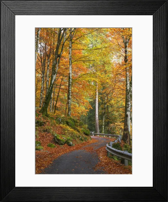 Framed Print : Autumn road, Bagni di Masino forest, Val Masino, Sondrio province, Valtellina, Lombardy Framed Print : Autumn road, Bagni di Masino forest, Val Masino, Sondrio province, Valtellina, Lombardy