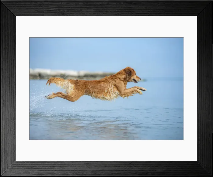 Framed Print : Lido di Classe, Forla province, Emilia Romagna, Italy, Europe Framed Print : Lido di Classe, Forla province, Emilia Romagna, Italy, Europe