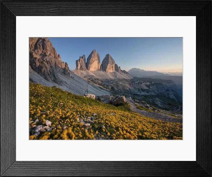 Framed Print : Summer sunset at Tre Cime di Lavaredo whit flowery field, Drei Zinnen Framed Print : Summer sunset at Tre Cime di Lavaredo whit flowery field, Drei Zinnen