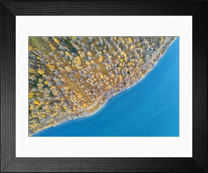 Framed Print : vertical shot of colorful trees along the lake of Livigno, municipality of Livigno Framed Print : vertical shot of colorful trees along the lake of Livigno, municipality of Livigno