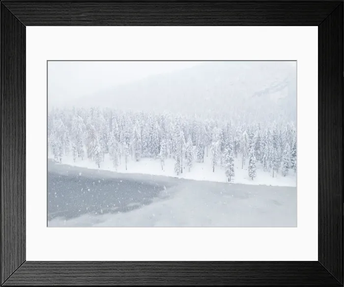 Framed Print : the snow-covered trees at Lake Antorno, a UNESCO world heritage site, province of Belluno Framed Print : the snow-covered trees at Lake Antorno, a UNESCO world heritage site, province of Belluno