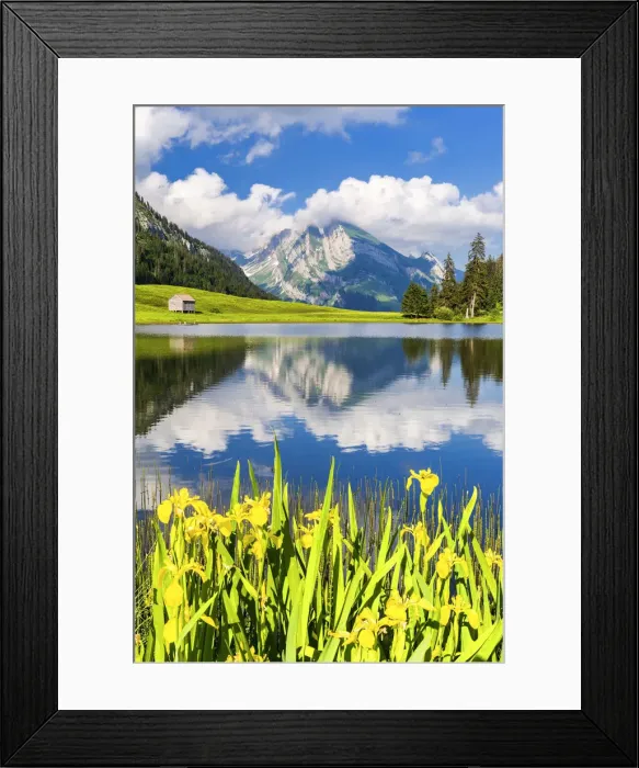 Framed Print : Summer flowering at Grappelensee. Alt Sankt Johann, Toggemburg, Canton of St Framed Print : Summer flowering at Grappelensee. Alt Sankt Johann, Toggemburg, Canton of St