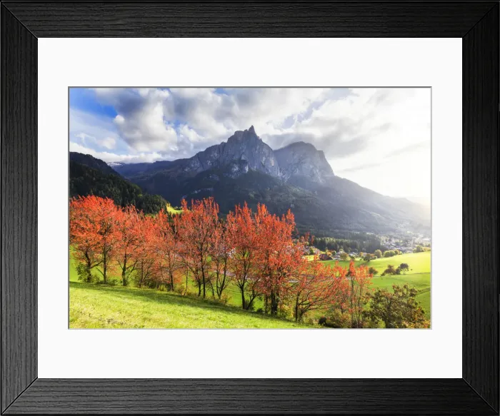 Framed Print : Sunlight illuminates red leafs of cherry trees. Siusi allo Sciliar, Dolomites Framed Print : Sunlight illuminates red leafs of cherry trees. Siusi allo Sciliar, Dolomites