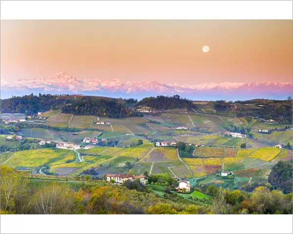 Vineyard of Barolo wine region during sunrise with the moon