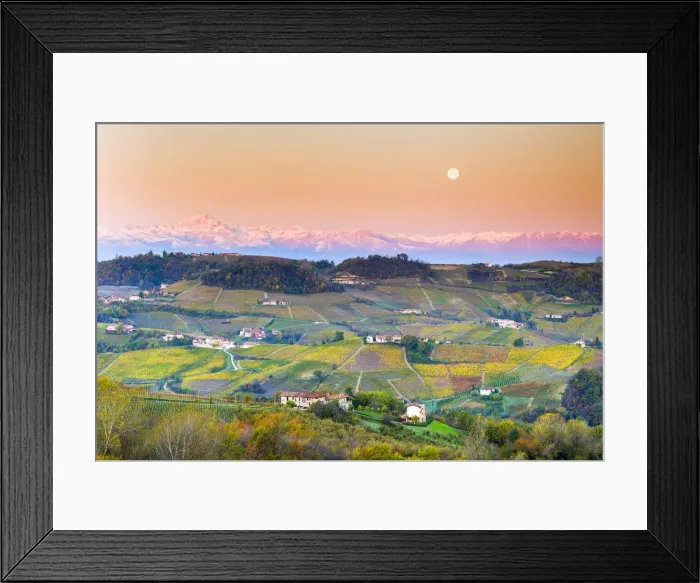 Framed Print : Vineyard of Barolo wine region during sunrise with the moon Framed Print : Vineyard of Barolo wine region during sunrise with the moon