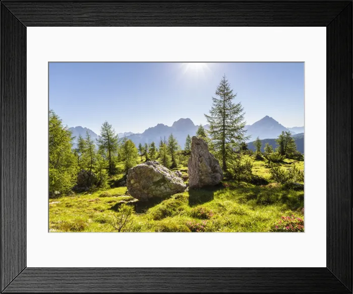 Framed Print : Italy, Veneto, Belluno district, Cortina d Ampezzo, view of meadows