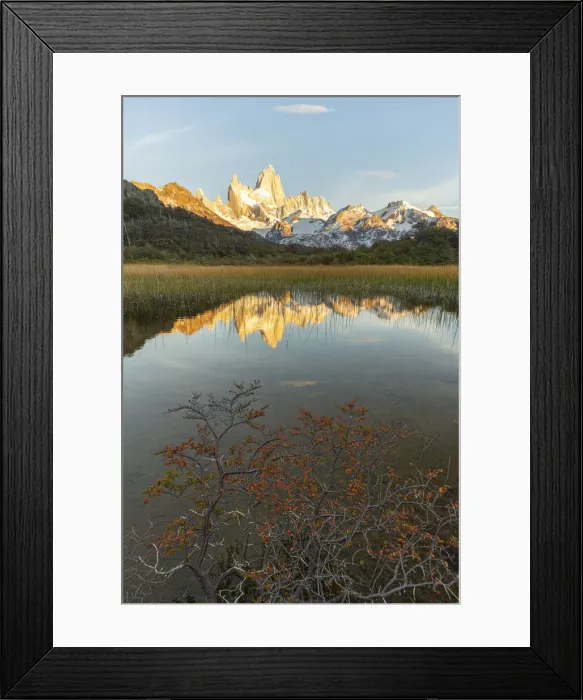 Framed Print : Fitz Roy reflection at dawn from Mirador Fitz Roy, with trees in the foreground Framed Print : Fitz Roy reflection at dawn from Mirador Fitz Roy, with trees in the foreground