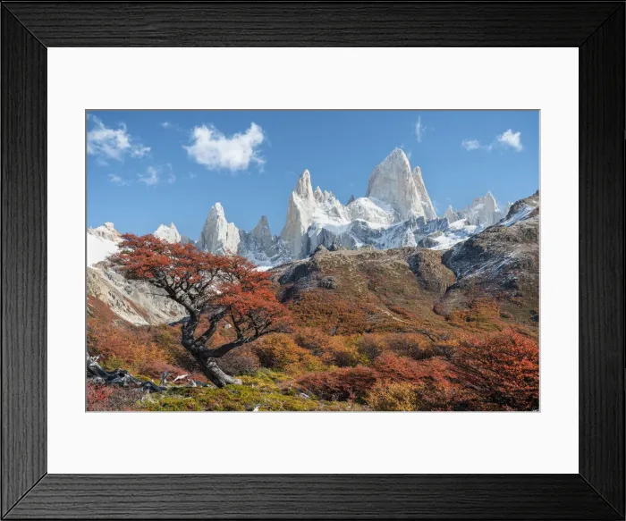 Framed Print : Tree and autumn scenery with Fitz Roy range in the background Framed Print : Tree and autumn scenery with Fitz Roy range in the background