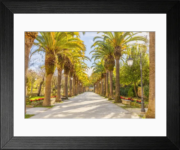 Framed Print : Avenue lined with palms trees in the public Ibleo Garden, Ragusa Ibla, Ragusa, Sicily