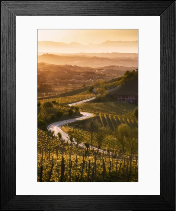 Framed Print : Sunset in Langa with road through the vineyards of Castiglione Tinella, Piedmont, Italy Framed Print : Sunset in Langa with road through the vineyards of Castiglione Tinella, Piedmont, Italy
