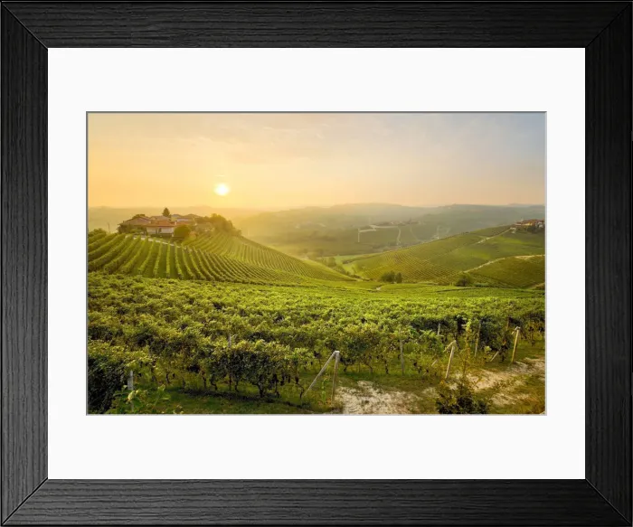 Framed Print : Sunrise on the vineyards of Barbaresco, Piedmont, Italy Framed Print : Sunrise on the vineyards of Barbaresco, Piedmont, Italy