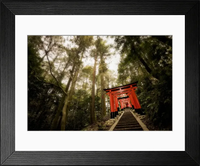 Framed Print : Torii of Fushimi Inari-taisha Temple, Kyoto, Japan Framed Print : Torii of Fushimi Inari-taisha Temple, Kyoto, Japan