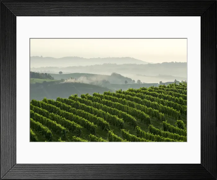 Framed Print : Early morning and mist in Monferrato, Canelli, Piedmont, Italy Framed Print : Early morning and mist in Monferrato, Canelli, Piedmont, Italy