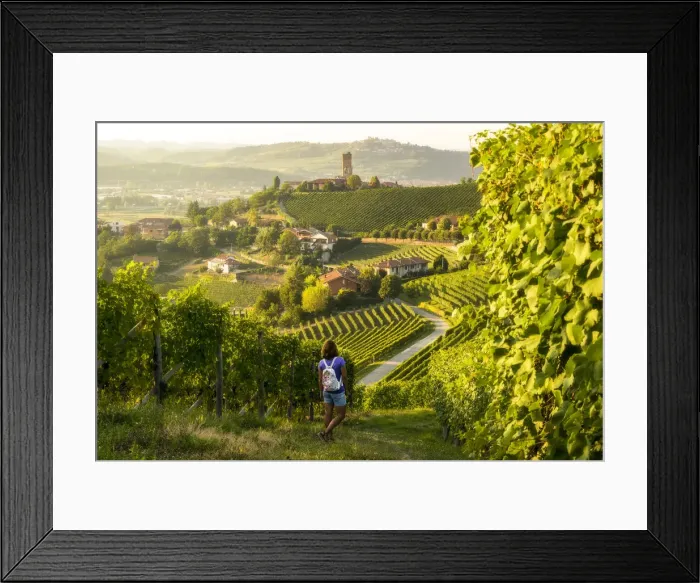 Framed Print : Girl walking trough the vineyards in Langhe, Barbaresco, Italy Framed Print : Girl walking trough the vineyards in Langhe, Barbaresco, Italy