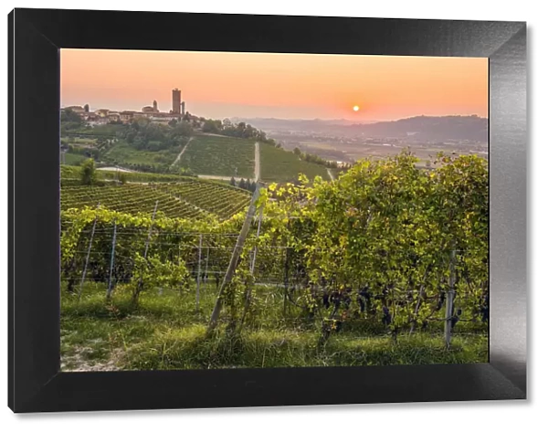 Sunset in Langhe, Barbaresco, Piedmont, Italy
