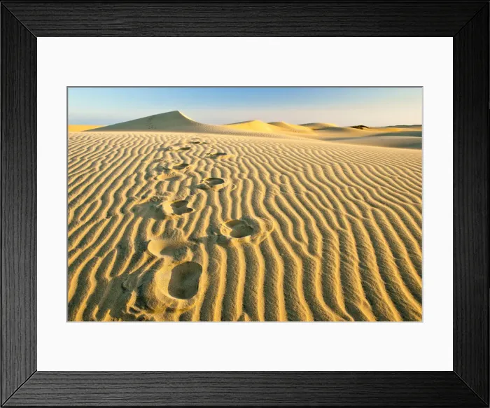 Framed Print : Footsteps on the sand in a beach that looks like a desert, Maspalomas, Gran Canaria Framed Print : Footsteps on the sand in a beach that looks like a desert, Maspalomas, Gran Canaria