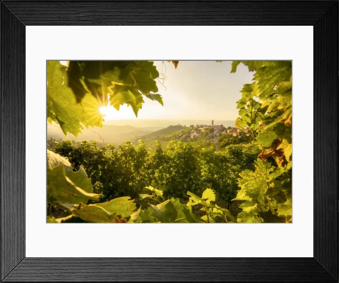 Framed Print : Sunset hidden on the vineyards, Treiso, Piedmont, Italy