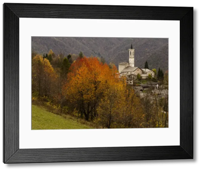 Framed Print : Foliage in Becetto, Sampeyre, Piedmont, Italy Framed Print : Foliage in Becetto, Sampeyre, Piedmont, Italy