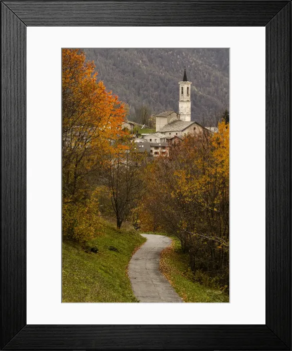 Framed Print : Foliage in Becetto, Sampeyre, Piedmont, Italy Framed Print : Foliage in Becetto, Sampeyre, Piedmont, Italy