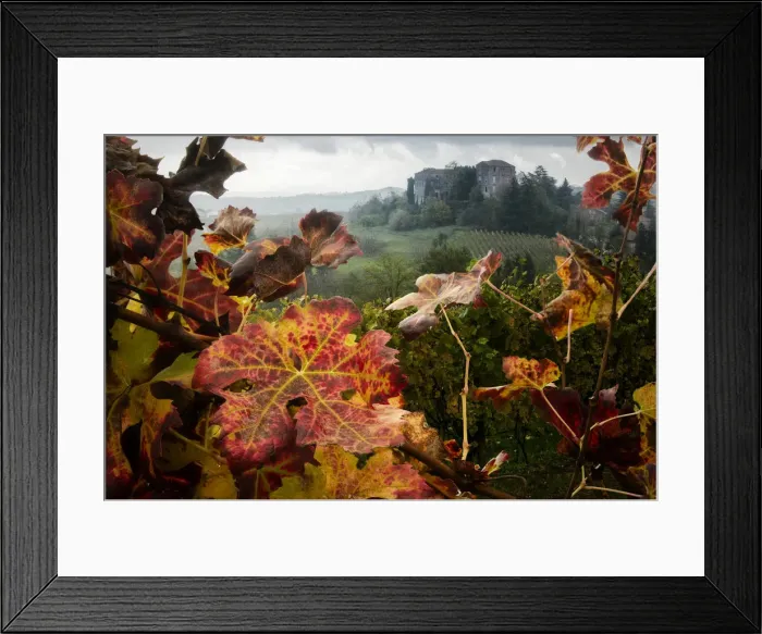 Framed Print : Burios Castle in Boglietto with foliage, Monferrato, Costigliole d Asti Framed Print : Burios Castle in Boglietto with foliage, Monferrato, Costigliole d Asti