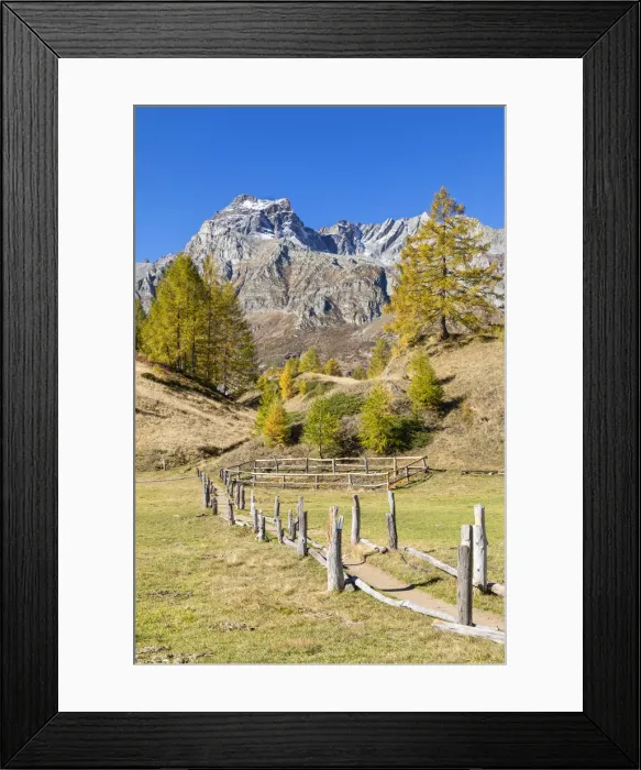 Framed Print : The Cervandone Peak from Alp Crampilo in autumn season, Alpe Veglia Framed Print : The Cervandone Peak from Alp Crampilo in autumn season, Alpe Veglia