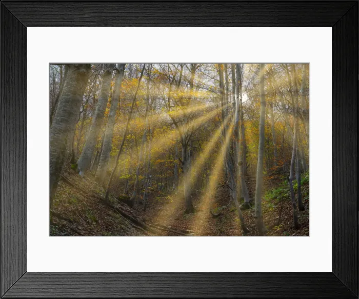 Framed Print : Italy, Umbria, Sibillini Mountains National Park, Gorge Infernaccio in Autumn