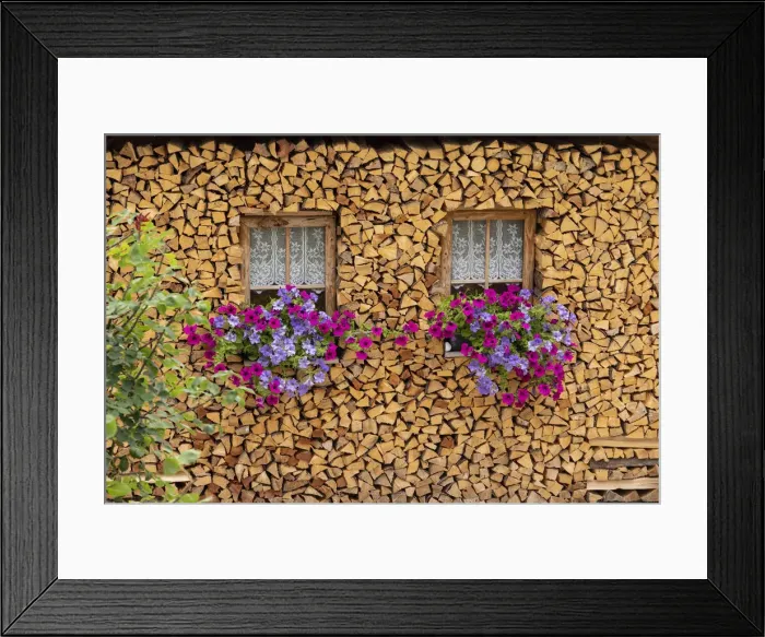 Framed Print : Italy, Veneto, Dolomites, Pieces of woods Framed Print : Italy, Veneto, Dolomites, Pieces of woods