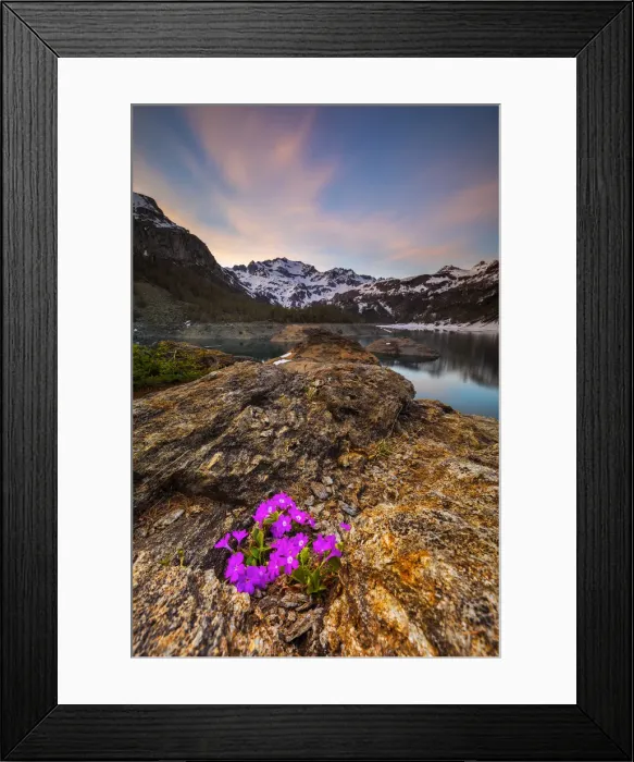 Framed Print : Codelago at sunset, Parco Naturale dell Alpe Veglia e dell Alpe Devero