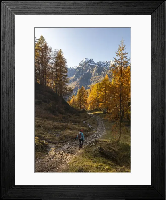 Framed Print : A men walking on a trail near Laghi del Sangiatto in autumn