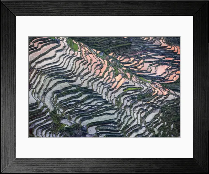Framed Print : Bada rice terraces in yuanyang rice terraces area, Yunnan, Southern China, China Framed Print : Bada rice terraces in yuanyang rice terraces area, Yunnan, Southern China, China