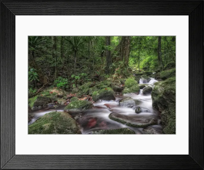 Framed Print : A stream flowing in Masoala primary forest, north eastern madagascar Framed Print : A stream flowing in Masoala primary forest, north eastern madagascar