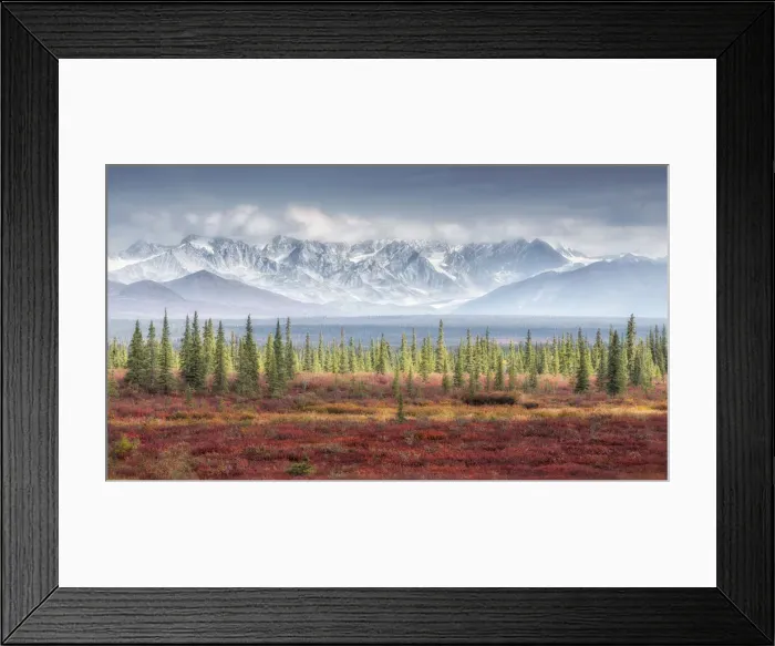 Framed Print : Mountain range from Denali highway, Alaska, in autumn Framed Print : Mountain range from Denali highway, Alaska, in autumn