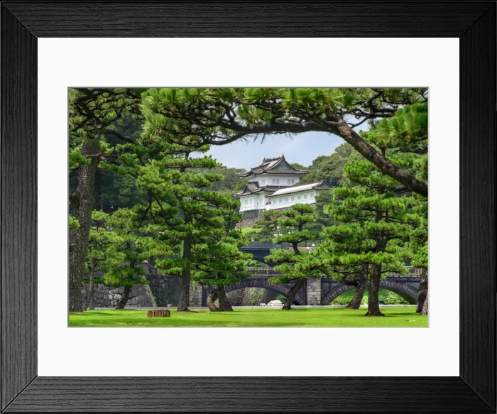 Framed Print : Tokyo Royal Palace, Tokyo Framed Print : Tokyo Royal Palace, Tokyo