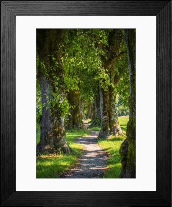 Framed Print : Holzkirchen, Miesbach, Upper Bavaria, Bavaria, Germany, Europe Framed Print : Holzkirchen, Miesbach, Upper Bavaria, Bavaria, Germany, Europe