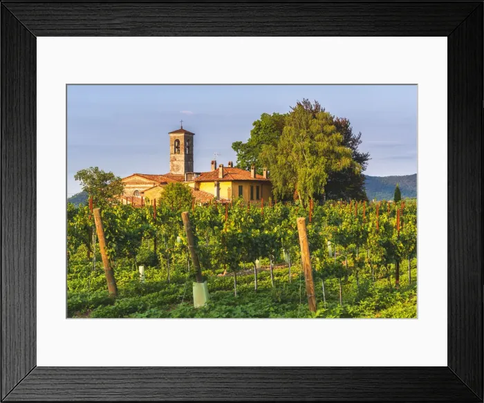 Framed Print : Church immersed in the Franciacorta vineyards, Brescia province, Lombardy district, Italy Framed Print : Church immersed in the Franciacorta vineyards, Brescia province, Lombardy district, Italy